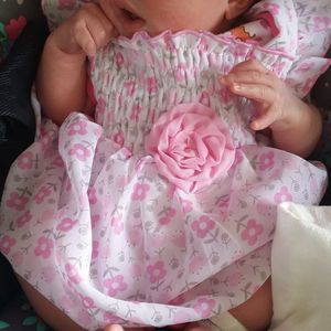 Meet your Posher, Calvin